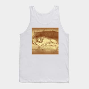 Dying Lion of Luzern - Löwendenkmal Tank Top